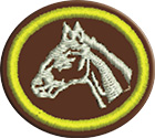 Cría de caballosclass=