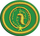 Numismática – Avanzadoclass=