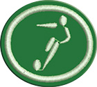 Fútbol salaclass=