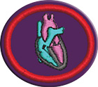 Corazón y circulaciónclass=