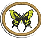 Mariposas y polillasclass=