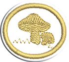 Hongosclass=