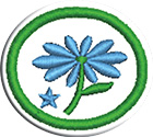 Flores – Avanzadoclass=
