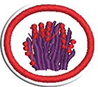 Hierbasclass=