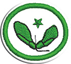 Semillas – Avanzadoclass=