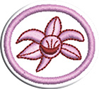Orquídeasclass=