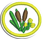 Plantas silvestres comestiblesclass=