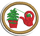 Plantas caserasclass=