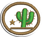 Cactus – Avanzadoclass=