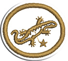 Reptiles – Avanzadoclass=
