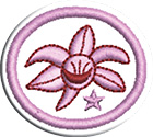 Orquídeas – Avanzadoclass=