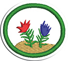 Briófitasclass=
