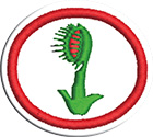 Plantas carnívorasclass=