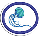Poríferos y cnidariosclass=