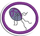 Protozoariosclass=